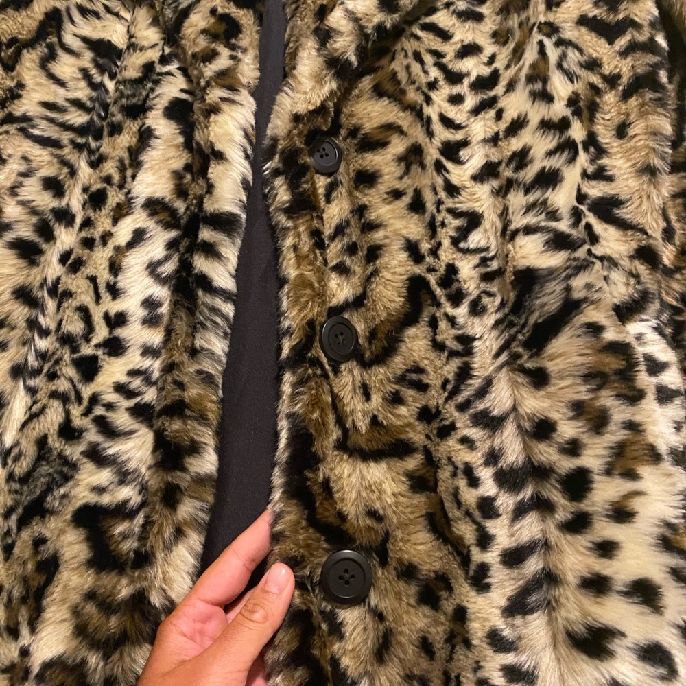 Coat! - Picture 2 of 5